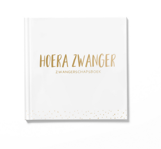 Hip&Mama Box Zwangerschapsboek